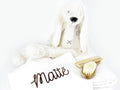 Complete babyset met naam – Luxe kraamcadeau - velvexo